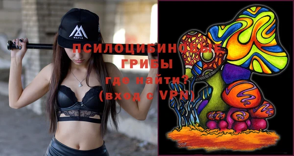 шишки Волоколамск