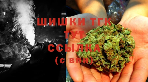шишки Волоколамск